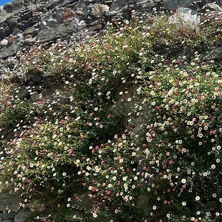 B&B Casa Graziella *