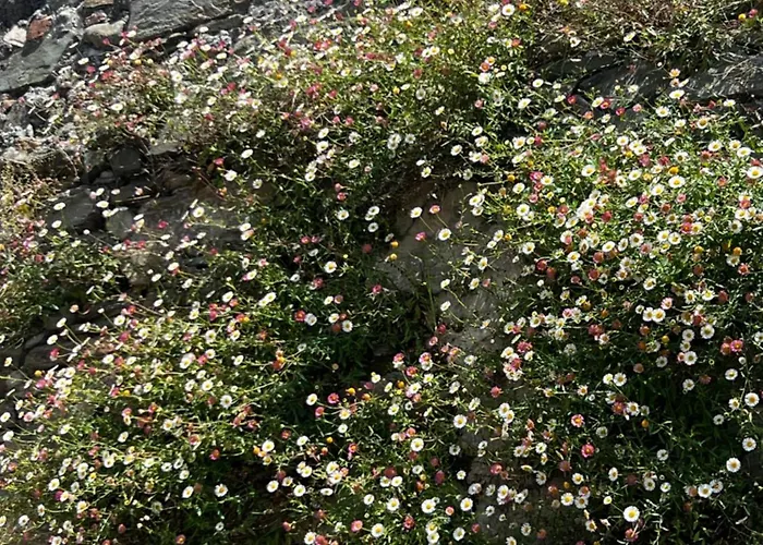 Bed & Breakfast Casa Graziella *